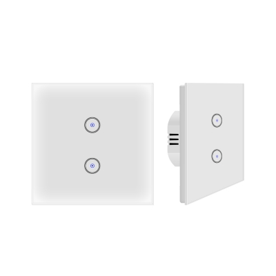 SM-SW101-2 Double switch 